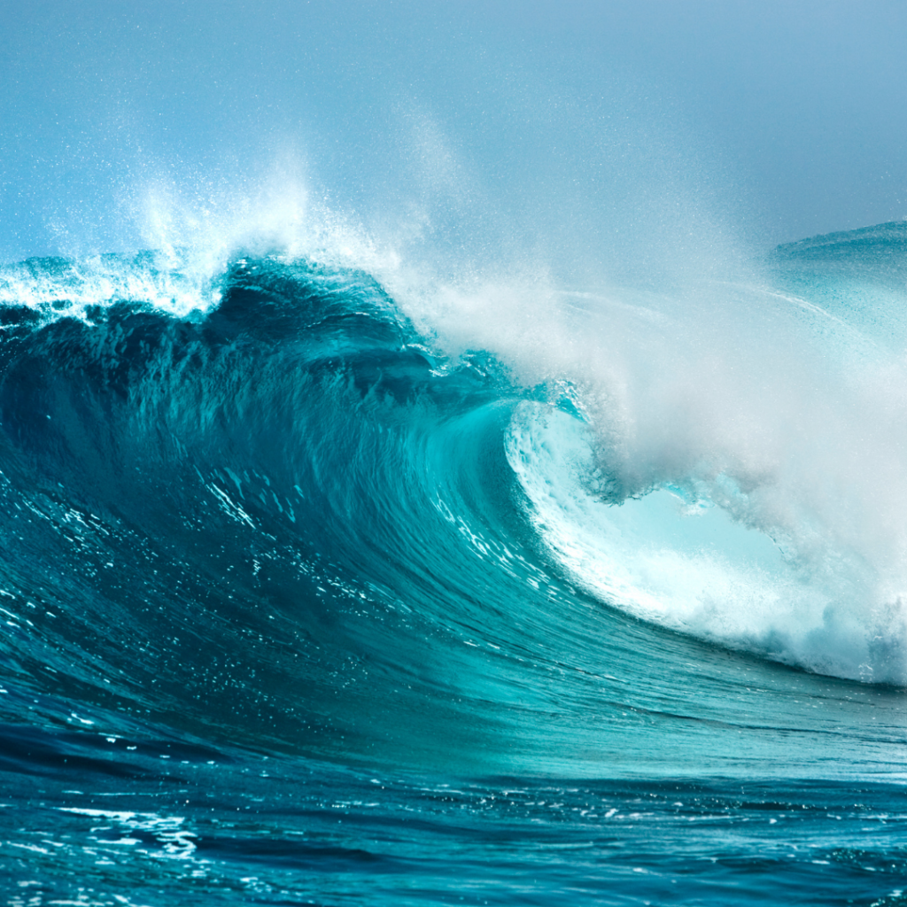 Image of a massive ocean wave crashing down. This image represents the powerful wave of stress we can get caught up in with Lichen Sclerosus.